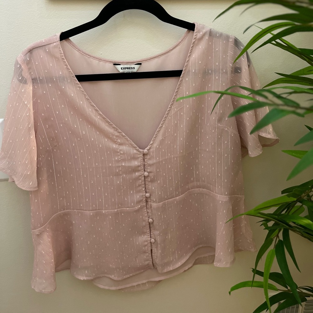 Express Pale Pink Sheer Women's Top, Size M